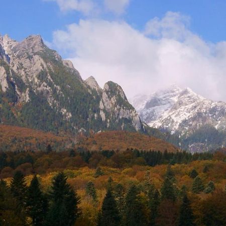 Pensiunea Luna Buşteni Zewnętrze zdjęcie