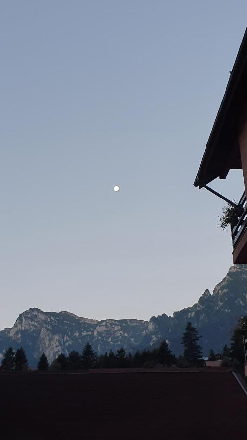 Pensiunea Luna Buşteni Zewnętrze zdjęcie