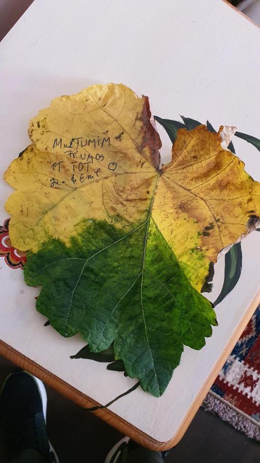 Pensiunea Luna Buşteni Zewnętrze zdjęcie